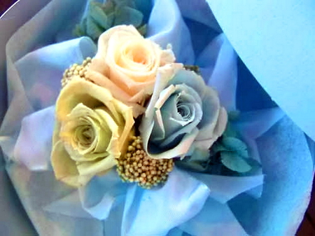 Trio - flowers, roses, blue, green, pink, three