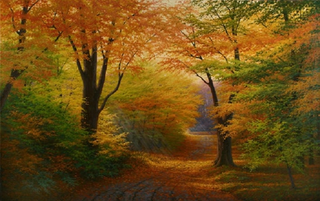 Autumn Forest. - autumn, fall, colour, tree, leaf, road, path