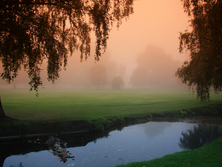 Trees in the mist - nature, sky, river, sunset, mist