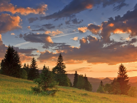 Sunset - cloud, sky, tree, sunset, nature, mountain, grass