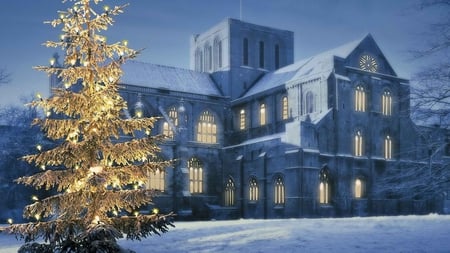 an english christmas - pretty, winter, holiday, photography, snow, tree, religious