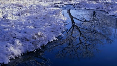 winter reflections - nature, lake, snow, photography, winter, tree, pond