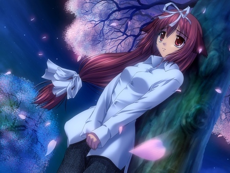 Night Skies, Shy Trees - skies, trees, anime, shy, girl, night, shy anime, sky