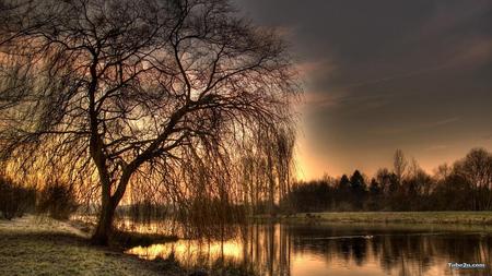 tree hide sunset - tree, sunset