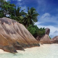 rock on beach