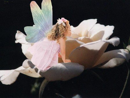 Faerie Girl - iridescent, young, girl, wings, fairy, rose