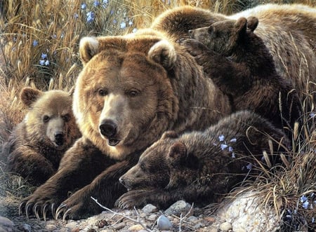 Bear family