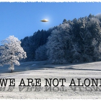 We Are Not Alone