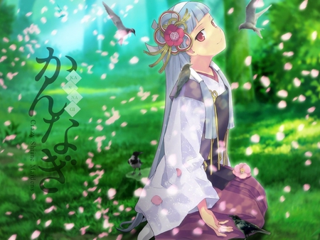 Cute anime - fantasy, cute, field, anime, girl, nature