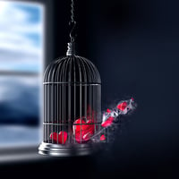 The Imprisoned Love