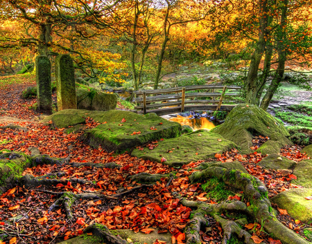 autumn - forest, scenery, landscape, river, bridge, nature, autumn