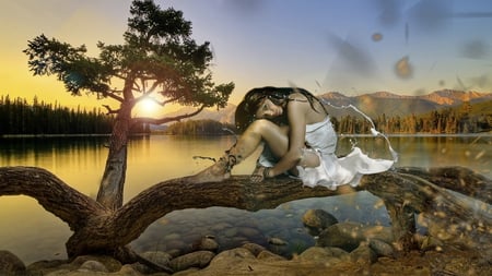 Very simple flash - lake, landscape, girl, panorama, computer, sunset, flash, simple, abstract, manipulation, tree, desktop