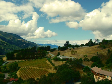 Carmel Valley View - homes, field, mountain, valley