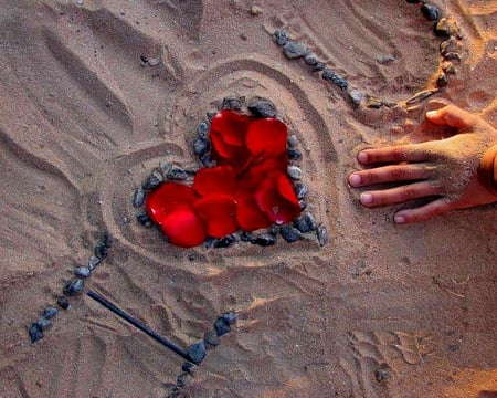 love in the sand - heart, romantic, beach, photography, love, sand, flowers, nature, rose