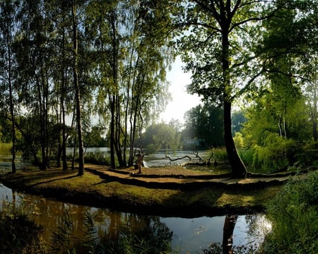 sunlit forest - beauty, nature, sky, trees, forest, photography, sun, water