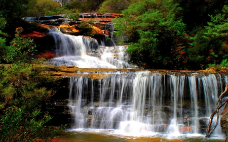 CASCADING WATERFALLS - waterfalls, forest, nature, cascade