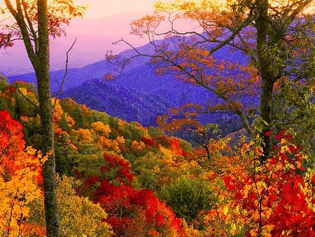 Autumn view - colorful, nature, autumn, view, colors, mountain