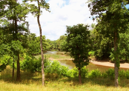 In the Trees - water, summer, trees, river