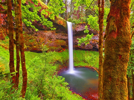 Waterfall - nature, trees, forest, water, summer, waterfall