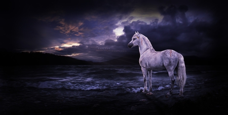 iapetus_won_t_see_you_again - sky, horse, animal, beach, dark, 3d