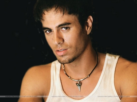 Enrique Iglesias - photos, males, enrique iglesias, musicians, singer, wallpaper