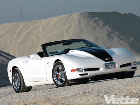 Grand Scheme - vette, white, bowtie, gm