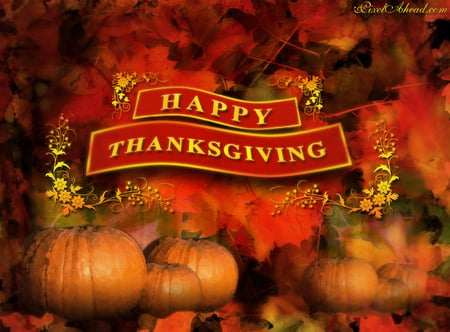 Have a Happy Thanksgiving All - pumpkins, wishes, greeting, holiday, thanksgiving