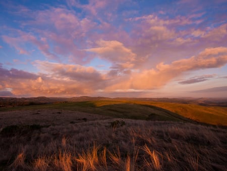 Clouds Above Golden Grass