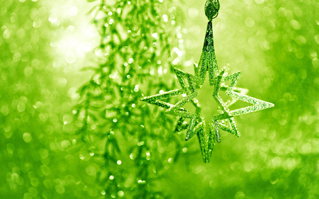 Christmas Star - beauty, bokeh, xmas, magic, photography, magic christmas, christmas decoration, pretty, decorations, green, holiday, lovely, christmas, christmas star, star, merry christmas, beautiful, decoration