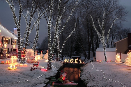 NOEL - lights, winter, noel, house, trees, christmas, snow