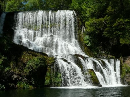 Beautiful Cascade - trees, beautiful, cascade, green, waterfalls