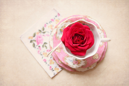 roses teacup - rose, teacup, still life, red