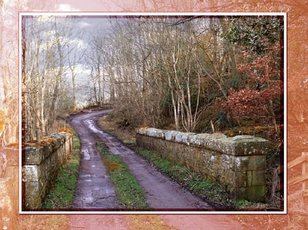 A Bridge to who knows where! - fence, bend, curve, tree, path, bridge