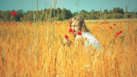 Sunny Days - nature, girl, beautiful, field, sunny, smelling, poppy