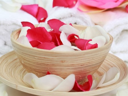 Rose petals - red, soft, beauty, beautiful, tender, plate, white, bowl, tenderness, towel, rose petals