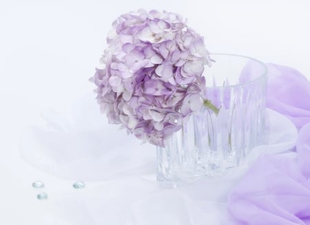 Tenderness - beauty, veil, soft, tenderness, tender, bouquet, still life, vase, white, cloth, purple, beautiful, flowers