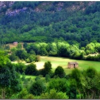 Valley Cabins