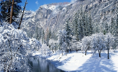 Snowy Mountain - trees, pic, winter, water, image, snow, mountain, white, season, picture, cold, wall, wallpaper