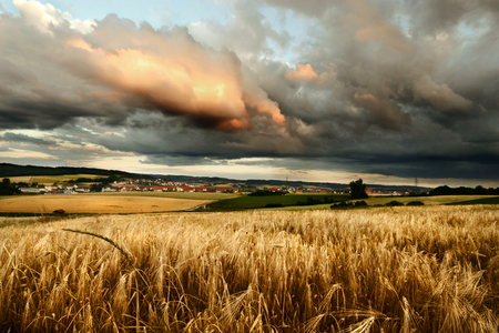 Cloudy Landscape - field, nature, landscape, clouds