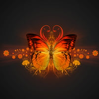 FIREY BUTTERFLY