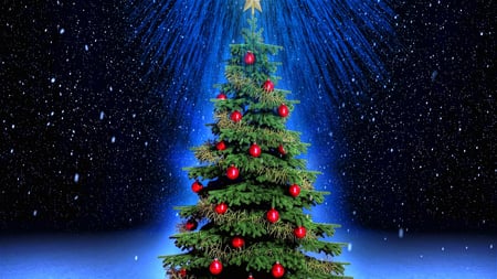 A Fine Pine - pretty, decorative, blue, beautiful, tree, lights, christmas