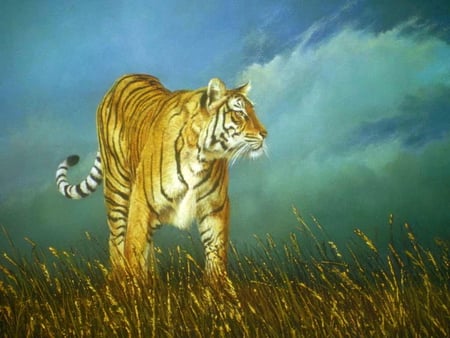 Tiger - art, animal, feline, tiger, big cat, kitten