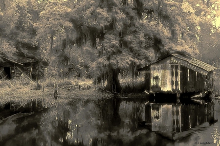 Infrared HDR - lake, grey, sunlit, big tree, shacks