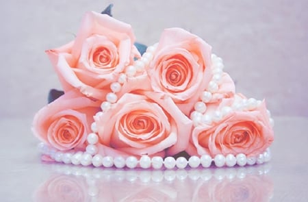 rose and pearls