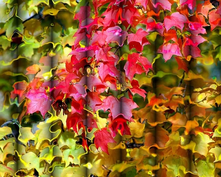 Autumn Blinds - blinds, colors, ripple, autumn