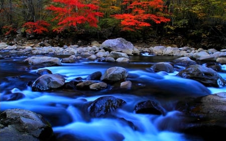 FOREST STREAM - nature, beautiful, autumn, stream, forest