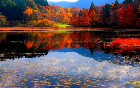 AUTUMN REFLECTION