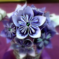 Precious purple ~â™¥~