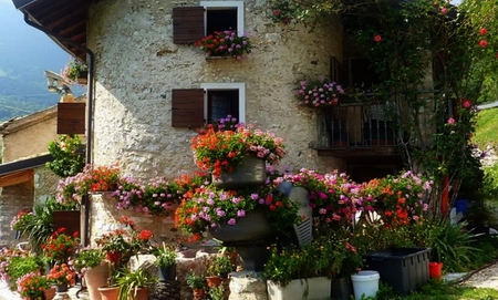 Beautiful House - flowers, garden, white, house