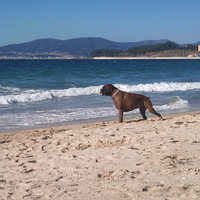 Guido in the Vigo´s beach